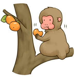 サルが柿を食う
